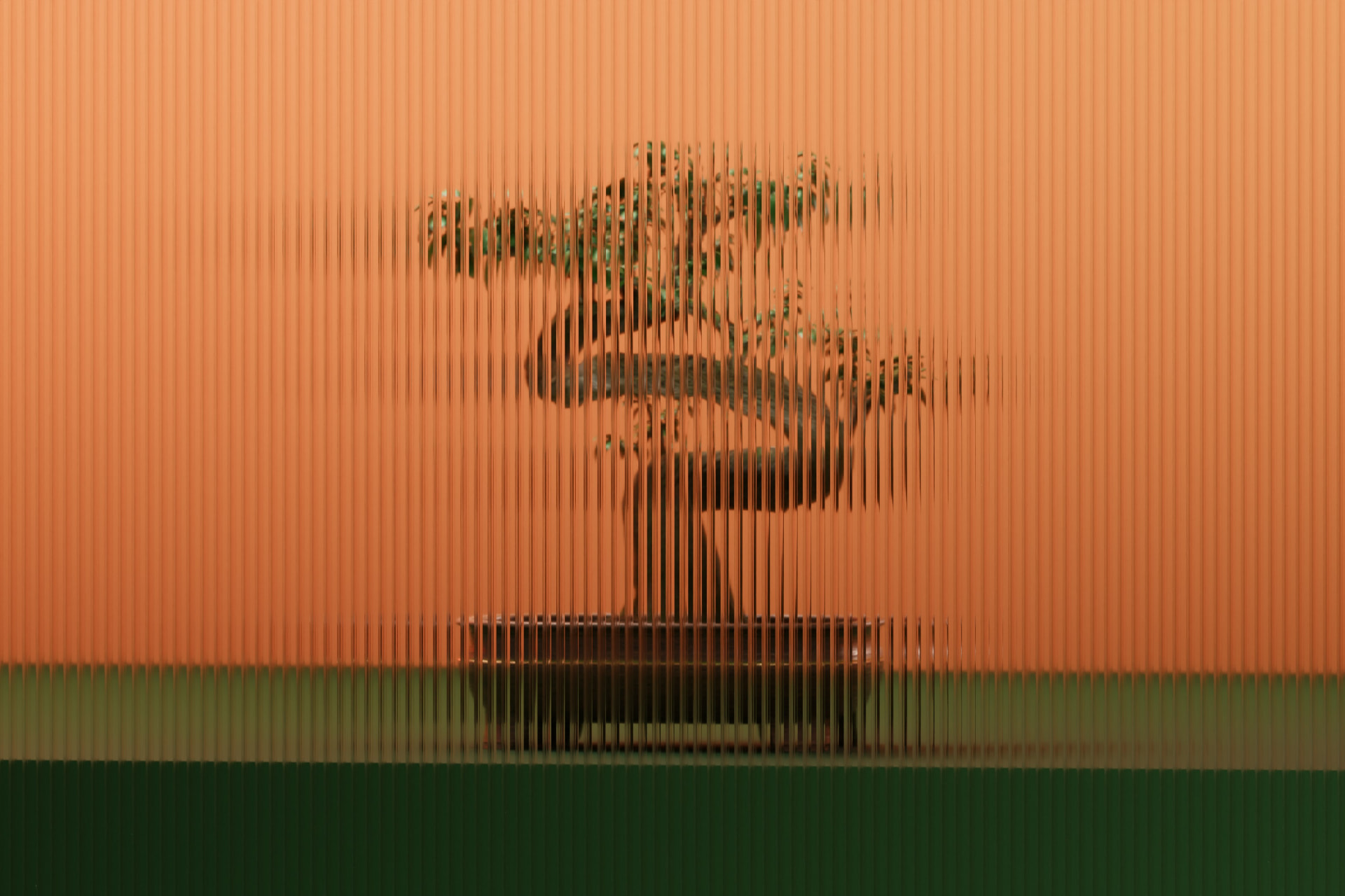 Bonsai tree seen through fluted glass in warm orange and deep green