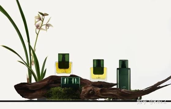 Still-life photograph of four green perfume bottles of varying sizes arranged on a piece of driftwood with an orchid plant.