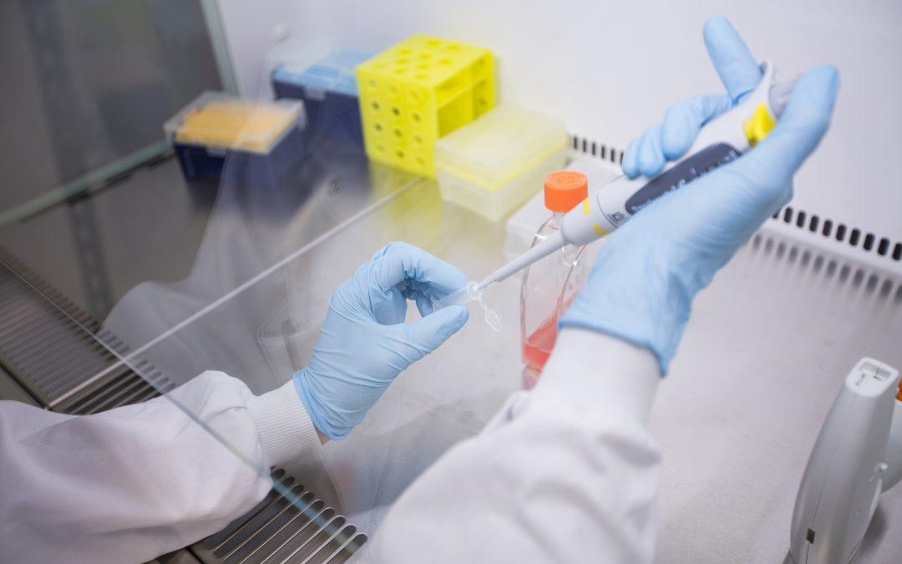 Laboratory technician using a pipette inside a safety cabinet