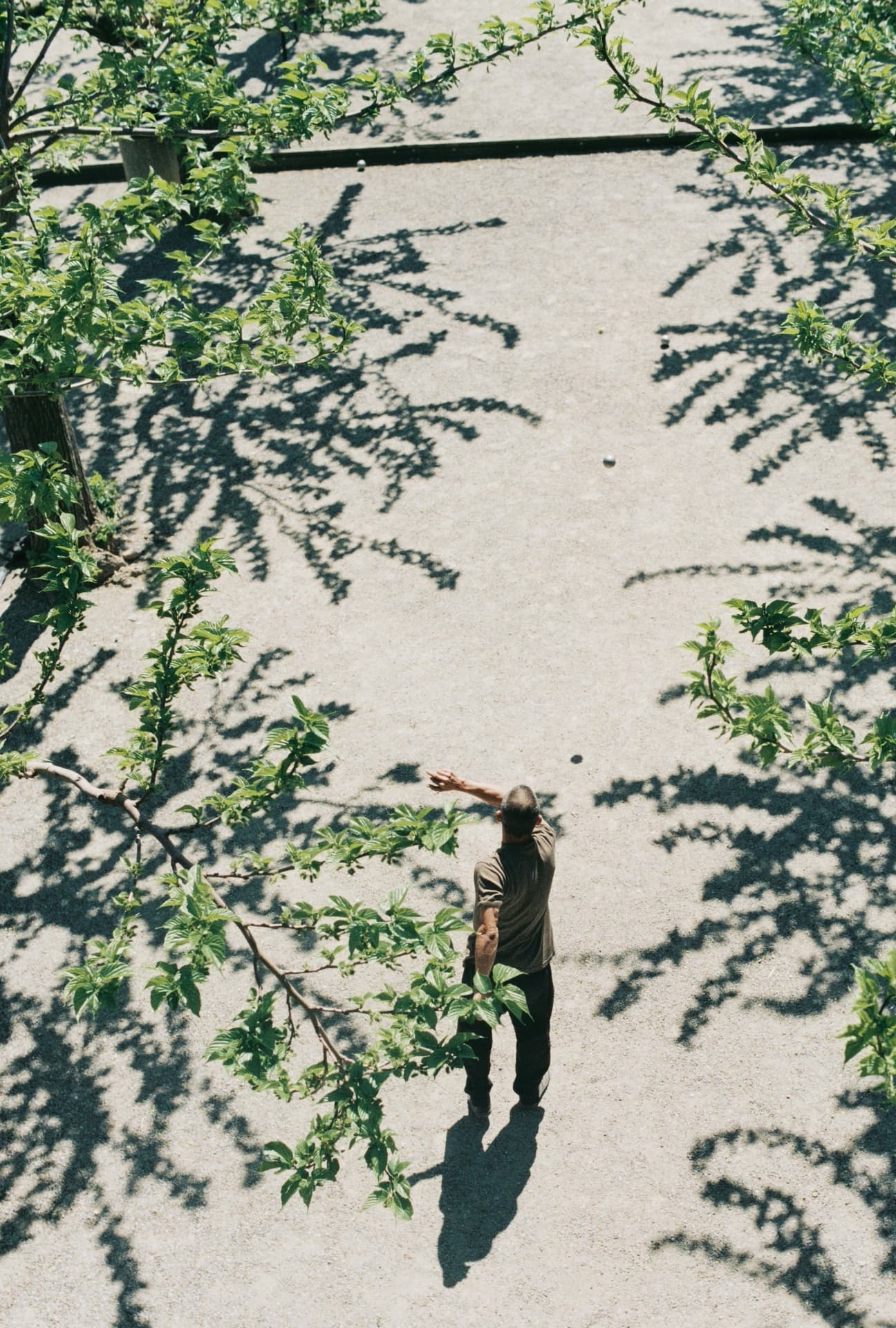 Aerial view of a man playing petanque on a sunlit gravel court