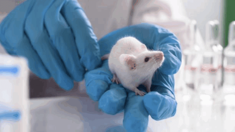 Animal Product Testing in China Decoded